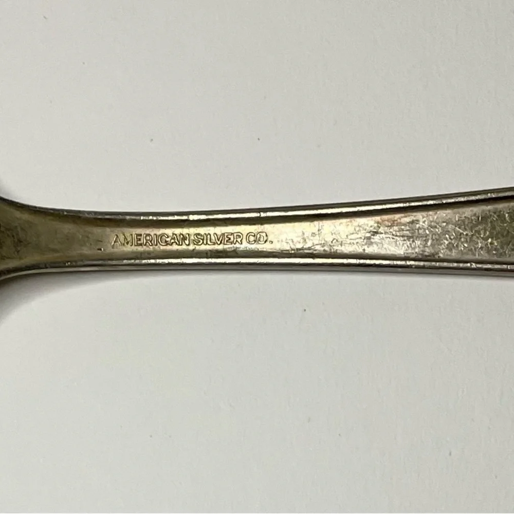 Vintage American Silver Co.Decorative Silverplate Serving Spoons - Set of 2